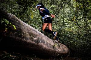 BIB: 
                            <button type="button" onclick="openModal(13525799)" class="btn btn-primary btn-sm float-right btn-popup" data-toggle="modal" data-target=".modal-high-quality">
                        <i class="fas fa-shopping-cart"></i> Add to Cart
                    </button>
                                            <button type="button" onclick="isThisMe(13525799, true)" class="btn btn-success btn-sm float-right btn-popup btn-isme hidden" data-toggle="tooltip" data-placement="bottom" title="นี่คือรูปของคุณใช่ไหม คลิกที่นี่เพื่อเอาเข้าอัลบั้ม">
                        <i class="fas fa-plus"></i> Add to album
                    </button>
                    <button type="button" onclick="isThisMe(13525799, false)" class="btn btn-warning btn-sm float-right btn-popup btn-isnotme hidden">
                        <i class="fas fa-ban"></i> Remove from album
                    </button>