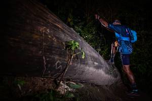 BIB: 
                            <button type="button" onclick="openModal(13517935)" class="btn btn-primary btn-sm float-right btn-popup" data-toggle="modal" data-target=".modal-high-quality">
                        <i class="fas fa-shopping-cart"></i> Add to Cart
                    </button>
                                            <button type="button" onclick="isThisMe(13517935, true)" class="btn btn-success btn-sm float-right btn-popup btn-isme hidden" data-toggle="tooltip" data-placement="bottom" title="นี่คือรูปของคุณใช่ไหม คลิกที่นี่เพื่อเอาเข้าอัลบั้ม">
                        <i class="fas fa-plus"></i> Add to album
                    </button>
                    <button type="button" onclick="isThisMe(13517935, false)" class="btn btn-warning btn-sm float-right btn-popup btn-isnotme hidden">
                        <i class="fas fa-ban"></i> Remove from album
                    </button>