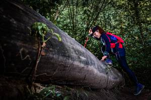 BIB: 
                            <button type="button" onclick="openModal(13519795)" class="btn btn-primary btn-sm float-right btn-popup" data-toggle="modal" data-target=".modal-high-quality">
                        <i class="fas fa-shopping-cart"></i> Add to Cart
                    </button>
                                            <button type="button" onclick="isThisMe(13519795, true)" class="btn btn-success btn-sm float-right btn-popup btn-isme hidden" data-toggle="tooltip" data-placement="bottom" title="นี่คือรูปของคุณใช่ไหม คลิกที่นี่เพื่อเอาเข้าอัลบั้ม">
                        <i class="fas fa-plus"></i> Add to album
                    </button>
                    <button type="button" onclick="isThisMe(13519795, false)" class="btn btn-warning btn-sm float-right btn-popup btn-isnotme hidden">
                        <i class="fas fa-ban"></i> Remove from album
                    </button>