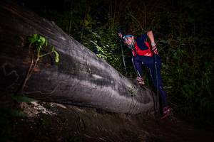 BIB: 
                            <button type="button" onclick="openModal(13519058)" class="btn btn-primary btn-sm float-right btn-popup" data-toggle="modal" data-target=".modal-high-quality">
                        <i class="fas fa-shopping-cart"></i> Add to Cart
                    </button>
                                            <button type="button" onclick="isThisMe(13519058, true)" class="btn btn-success btn-sm float-right btn-popup btn-isme hidden" data-toggle="tooltip" data-placement="bottom" title="นี่คือรูปของคุณใช่ไหม คลิกที่นี่เพื่อเอาเข้าอัลบั้ม">
                        <i class="fas fa-plus"></i> Add to album
                    </button>
                    <button type="button" onclick="isThisMe(13519058, false)" class="btn btn-warning btn-sm float-right btn-popup btn-isnotme hidden">
                        <i class="fas fa-ban"></i> Remove from album
                    </button>