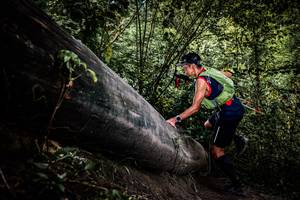 BIB: 
                            <button type="button" onclick="openModal(13523293)" class="btn btn-primary btn-sm float-right btn-popup" data-toggle="modal" data-target=".modal-high-quality">
                        <i class="fas fa-shopping-cart"></i> Add to Cart
                    </button>
                                            <button type="button" onclick="isThisMe(13523293, true)" class="btn btn-success btn-sm float-right btn-popup btn-isme hidden" data-toggle="tooltip" data-placement="bottom" title="นี่คือรูปของคุณใช่ไหม คลิกที่นี่เพื่อเอาเข้าอัลบั้ม">
                        <i class="fas fa-plus"></i> Add to album
                    </button>
                    <button type="button" onclick="isThisMe(13523293, false)" class="btn btn-warning btn-sm float-right btn-popup btn-isnotme hidden">
                        <i class="fas fa-ban"></i> Remove from album
                    </button>