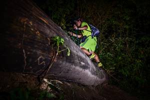 BIB: 
                            <button type="button" onclick="openModal(13519140)" class="btn btn-primary btn-sm float-right btn-popup" data-toggle="modal" data-target=".modal-high-quality">
                        <i class="fas fa-shopping-cart"></i> Add to Cart
                    </button>
                                            <button type="button" onclick="isThisMe(13519140, true)" class="btn btn-success btn-sm float-right btn-popup btn-isme hidden" data-toggle="tooltip" data-placement="bottom" title="นี่คือรูปของคุณใช่ไหม คลิกที่นี่เพื่อเอาเข้าอัลบั้ม">
                        <i class="fas fa-plus"></i> Add to album
                    </button>
                    <button type="button" onclick="isThisMe(13519140, false)" class="btn btn-warning btn-sm float-right btn-popup btn-isnotme hidden">
                        <i class="fas fa-ban"></i> Remove from album
                    </button>