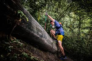 BIB: 
                            <button type="button" onclick="openModal(13524061)" class="btn btn-primary btn-sm float-right btn-popup" data-toggle="modal" data-target=".modal-high-quality">
                        <i class="fas fa-shopping-cart"></i> Add to Cart
                    </button>
                                            <button type="button" onclick="isThisMe(13524061, true)" class="btn btn-success btn-sm float-right btn-popup btn-isme hidden" data-toggle="tooltip" data-placement="bottom" title="นี่คือรูปของคุณใช่ไหม คลิกที่นี่เพื่อเอาเข้าอัลบั้ม">
                        <i class="fas fa-plus"></i> Add to album
                    </button>
                    <button type="button" onclick="isThisMe(13524061, false)" class="btn btn-warning btn-sm float-right btn-popup btn-isnotme hidden">
                        <i class="fas fa-ban"></i> Remove from album
                    </button>