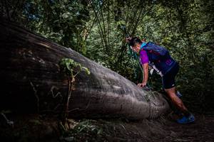 BIB: 
                            <button type="button" onclick="openModal(13522692)" class="btn btn-primary btn-sm float-right btn-popup" data-toggle="modal" data-target=".modal-high-quality">
                        <i class="fas fa-shopping-cart"></i> Add to Cart
                    </button>
                                            <button type="button" onclick="isThisMe(13522692, true)" class="btn btn-success btn-sm float-right btn-popup btn-isme hidden" data-toggle="tooltip" data-placement="bottom" title="นี่คือรูปของคุณใช่ไหม คลิกที่นี่เพื่อเอาเข้าอัลบั้ม">
                        <i class="fas fa-plus"></i> Add to album
                    </button>
                    <button type="button" onclick="isThisMe(13522692, false)" class="btn btn-warning btn-sm float-right btn-popup btn-isnotme hidden">
                        <i class="fas fa-ban"></i> Remove from album
                    </button>