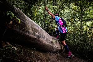 BIB: 
                            <button type="button" onclick="openModal(13525766)" class="btn btn-primary btn-sm float-right btn-popup" data-toggle="modal" data-target=".modal-high-quality">
                        <i class="fas fa-shopping-cart"></i> Add to Cart
                    </button>
                                            <button type="button" onclick="isThisMe(13525766, true)" class="btn btn-success btn-sm float-right btn-popup btn-isme hidden" data-toggle="tooltip" data-placement="bottom" title="นี่คือรูปของคุณใช่ไหม คลิกที่นี่เพื่อเอาเข้าอัลบั้ม">
                        <i class="fas fa-plus"></i> Add to album
                    </button>
                    <button type="button" onclick="isThisMe(13525766, false)" class="btn btn-warning btn-sm float-right btn-popup btn-isnotme hidden">
                        <i class="fas fa-ban"></i> Remove from album
                    </button>