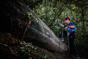 BIB: 
                            <button type="button" onclick="openModal(13522838)" class="btn btn-primary btn-sm float-right btn-popup" data-toggle="modal" data-target=".modal-high-quality">
                        <i class="fas fa-shopping-cart"></i> Add to Cart
                    </button>
                                            <button type="button" onclick="isThisMe(13522838, true)" class="btn btn-success btn-sm float-right btn-popup btn-isme hidden" data-toggle="tooltip" data-placement="bottom" title="นี่คือรูปของคุณใช่ไหม คลิกที่นี่เพื่อเอาเข้าอัลบั้ม">
                        <i class="fas fa-plus"></i> Add to album
                    </button>
                    <button type="button" onclick="isThisMe(13522838, false)" class="btn btn-warning btn-sm float-right btn-popup btn-isnotme hidden">
                        <i class="fas fa-ban"></i> Remove from album
                    </button>