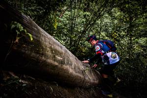 BIB: 
                            <button type="button" onclick="openModal(13525380)" class="btn btn-primary btn-sm float-right btn-popup" data-toggle="modal" data-target=".modal-high-quality">
                        <i class="fas fa-shopping-cart"></i> Add to Cart
                    </button>
                                            <button type="button" onclick="isThisMe(13525380, true)" class="btn btn-success btn-sm float-right btn-popup btn-isme hidden" data-toggle="tooltip" data-placement="bottom" title="นี่คือรูปของคุณใช่ไหม คลิกที่นี่เพื่อเอาเข้าอัลบั้ม">
                        <i class="fas fa-plus"></i> Add to album
                    </button>
                    <button type="button" onclick="isThisMe(13525380, false)" class="btn btn-warning btn-sm float-right btn-popup btn-isnotme hidden">
                        <i class="fas fa-ban"></i> Remove from album
                    </button>