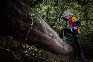 BIB: 
                            <button type="button" onclick="openModal(13522856)" class="btn btn-primary btn-sm float-right btn-popup" data-toggle="modal" data-target=".modal-high-quality">
                        <i class="fas fa-shopping-cart"></i> Add to Cart
                    </button>
                                            <button type="button" onclick="isThisMe(13522856, true)" class="btn btn-success btn-sm float-right btn-popup btn-isme hidden" data-toggle="tooltip" data-placement="bottom" title="นี่คือรูปของคุณใช่ไหม คลิกที่นี่เพื่อเอาเข้าอัลบั้ม">
                        <i class="fas fa-plus"></i> Add to album
                    </button>
                    <button type="button" onclick="isThisMe(13522856, false)" class="btn btn-warning btn-sm float-right btn-popup btn-isnotme hidden">
                        <i class="fas fa-ban"></i> Remove from album
                    </button>