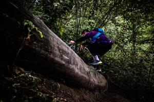 BIB: 
                            <button type="button" onclick="openModal(13525325)" class="btn btn-primary btn-sm float-right btn-popup" data-toggle="modal" data-target=".modal-high-quality">
                        <i class="fas fa-shopping-cart"></i> Add to Cart
                    </button>
                                            <button type="button" onclick="isThisMe(13525325, true)" class="btn btn-success btn-sm float-right btn-popup btn-isme hidden" data-toggle="tooltip" data-placement="bottom" title="นี่คือรูปของคุณใช่ไหม คลิกที่นี่เพื่อเอาเข้าอัลบั้ม">
                        <i class="fas fa-plus"></i> Add to album
                    </button>
                    <button type="button" onclick="isThisMe(13525325, false)" class="btn btn-warning btn-sm float-right btn-popup btn-isnotme hidden">
                        <i class="fas fa-ban"></i> Remove from album
                    </button>