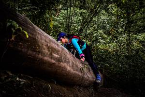 BIB: 
                            <button type="button" onclick="openModal(13525510)" class="btn btn-primary btn-sm float-right btn-popup" data-toggle="modal" data-target=".modal-high-quality">
                        <i class="fas fa-shopping-cart"></i> Add to Cart
                    </button>
                                            <button type="button" onclick="isThisMe(13525510, true)" class="btn btn-success btn-sm float-right btn-popup btn-isme hidden" data-toggle="tooltip" data-placement="bottom" title="นี่คือรูปของคุณใช่ไหม คลิกที่นี่เพื่อเอาเข้าอัลบั้ม">
                        <i class="fas fa-plus"></i> Add to album
                    </button>
                    <button type="button" onclick="isThisMe(13525510, false)" class="btn btn-warning btn-sm float-right btn-popup btn-isnotme hidden">
                        <i class="fas fa-ban"></i> Remove from album
                    </button>