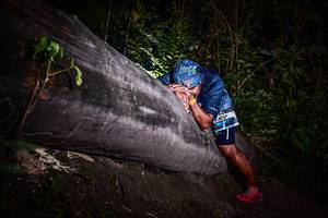 BIB: 
                            <button type="button" onclick="openModal(13519005)" class="btn btn-primary btn-sm float-right btn-popup" data-toggle="modal" data-target=".modal-high-quality">
                        <i class="fas fa-shopping-cart"></i> Add to Cart
                    </button>
                                            <button type="button" onclick="isThisMe(13519005, true)" class="btn btn-success btn-sm float-right btn-popup btn-isme hidden" data-toggle="tooltip" data-placement="bottom" title="นี่คือรูปของคุณใช่ไหม คลิกที่นี่เพื่อเอาเข้าอัลบั้ม">
                        <i class="fas fa-plus"></i> Add to album
                    </button>
                    <button type="button" onclick="isThisMe(13519005, false)" class="btn btn-warning btn-sm float-right btn-popup btn-isnotme hidden">
                        <i class="fas fa-ban"></i> Remove from album
                    </button>