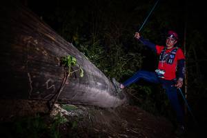 BIB: 
                            <button type="button" onclick="openModal(13517785)" class="btn btn-primary btn-sm float-right btn-popup" data-toggle="modal" data-target=".modal-high-quality">
                        <i class="fas fa-shopping-cart"></i> Add to Cart
                    </button>
                                            <button type="button" onclick="isThisMe(13517785, true)" class="btn btn-success btn-sm float-right btn-popup btn-isme hidden" data-toggle="tooltip" data-placement="bottom" title="นี่คือรูปของคุณใช่ไหม คลิกที่นี่เพื่อเอาเข้าอัลบั้ม">
                        <i class="fas fa-plus"></i> Add to album
                    </button>
                    <button type="button" onclick="isThisMe(13517785, false)" class="btn btn-warning btn-sm float-right btn-popup btn-isnotme hidden">
                        <i class="fas fa-ban"></i> Remove from album
                    </button>