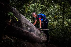 BIB: 
                            <button type="button" onclick="openModal(13525447)" class="btn btn-primary btn-sm float-right btn-popup" data-toggle="modal" data-target=".modal-high-quality">
                        <i class="fas fa-shopping-cart"></i> Add to Cart
                    </button>
                                            <button type="button" onclick="isThisMe(13525447, true)" class="btn btn-success btn-sm float-right btn-popup btn-isme hidden" data-toggle="tooltip" data-placement="bottom" title="นี่คือรูปของคุณใช่ไหม คลิกที่นี่เพื่อเอาเข้าอัลบั้ม">
                        <i class="fas fa-plus"></i> Add to album
                    </button>
                    <button type="button" onclick="isThisMe(13525447, false)" class="btn btn-warning btn-sm float-right btn-popup btn-isnotme hidden">
                        <i class="fas fa-ban"></i> Remove from album
                    </button>