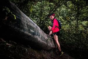 BIB: 
                            <button type="button" onclick="openModal(13525591)" class="btn btn-primary btn-sm float-right btn-popup" data-toggle="modal" data-target=".modal-high-quality">
                        <i class="fas fa-shopping-cart"></i> Add to Cart
                    </button>
                                            <button type="button" onclick="isThisMe(13525591, true)" class="btn btn-success btn-sm float-right btn-popup btn-isme hidden" data-toggle="tooltip" data-placement="bottom" title="นี่คือรูปของคุณใช่ไหม คลิกที่นี่เพื่อเอาเข้าอัลบั้ม">
                        <i class="fas fa-plus"></i> Add to album
                    </button>
                    <button type="button" onclick="isThisMe(13525591, false)" class="btn btn-warning btn-sm float-right btn-popup btn-isnotme hidden">
                        <i class="fas fa-ban"></i> Remove from album
                    </button>