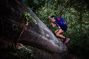 BIB: 
                            <button type="button" onclick="openModal(13519686)" class="btn btn-primary btn-sm float-right btn-popup" data-toggle="modal" data-target=".modal-high-quality">
                        <i class="fas fa-shopping-cart"></i> Add to Cart
                    </button>
                                            <button type="button" onclick="isThisMe(13519686, true)" class="btn btn-success btn-sm float-right btn-popup btn-isme hidden" data-toggle="tooltip" data-placement="bottom" title="นี่คือรูปของคุณใช่ไหม คลิกที่นี่เพื่อเอาเข้าอัลบั้ม">
                        <i class="fas fa-plus"></i> Add to album
                    </button>
                    <button type="button" onclick="isThisMe(13519686, false)" class="btn btn-warning btn-sm float-right btn-popup btn-isnotme hidden">
                        <i class="fas fa-ban"></i> Remove from album
                    </button>