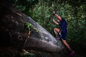 BIB: 
                            <button type="button" onclick="openModal(13519477)" class="btn btn-primary btn-sm float-right btn-popup" data-toggle="modal" data-target=".modal-high-quality">
                        <i class="fas fa-shopping-cart"></i> Add to Cart
                    </button>
                                            <button type="button" onclick="isThisMe(13519477, true)" class="btn btn-success btn-sm float-right btn-popup btn-isme hidden" data-toggle="tooltip" data-placement="bottom" title="นี่คือรูปของคุณใช่ไหม คลิกที่นี่เพื่อเอาเข้าอัลบั้ม">
                        <i class="fas fa-plus"></i> Add to album
                    </button>
                    <button type="button" onclick="isThisMe(13519477, false)" class="btn btn-warning btn-sm float-right btn-popup btn-isnotme hidden">
                        <i class="fas fa-ban"></i> Remove from album
                    </button>