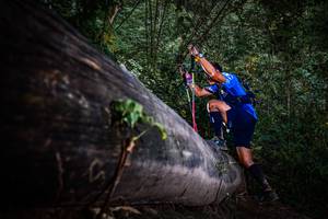 BIB: 
                            <button type="button" onclick="openModal(13519288)" class="btn btn-primary btn-sm float-right btn-popup" data-toggle="modal" data-target=".modal-high-quality">
                        <i class="fas fa-shopping-cart"></i> Add to Cart
                    </button>
                                            <button type="button" onclick="isThisMe(13519288, true)" class="btn btn-success btn-sm float-right btn-popup btn-isme hidden" data-toggle="tooltip" data-placement="bottom" title="นี่คือรูปของคุณใช่ไหม คลิกที่นี่เพื่อเอาเข้าอัลบั้ม">
                        <i class="fas fa-plus"></i> Add to album
                    </button>
                    <button type="button" onclick="isThisMe(13519288, false)" class="btn btn-warning btn-sm float-right btn-popup btn-isnotme hidden">
                        <i class="fas fa-ban"></i> Remove from album
                    </button>