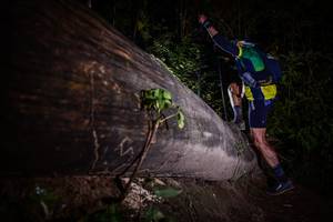 BIB: 
                            <button type="button" onclick="openModal(13517809)" class="btn btn-primary btn-sm float-right btn-popup" data-toggle="modal" data-target=".modal-high-quality">
                        <i class="fas fa-shopping-cart"></i> Add to Cart
                    </button>
                                            <button type="button" onclick="isThisMe(13517809, true)" class="btn btn-success btn-sm float-right btn-popup btn-isme hidden" data-toggle="tooltip" data-placement="bottom" title="นี่คือรูปของคุณใช่ไหม คลิกที่นี่เพื่อเอาเข้าอัลบั้ม">
                        <i class="fas fa-plus"></i> Add to album
                    </button>
                    <button type="button" onclick="isThisMe(13517809, false)" class="btn btn-warning btn-sm float-right btn-popup btn-isnotme hidden">
                        <i class="fas fa-ban"></i> Remove from album
                    </button>