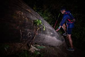 BIB: 
                            <button type="button" onclick="openModal(13517898)" class="btn btn-primary btn-sm float-right btn-popup" data-toggle="modal" data-target=".modal-high-quality">
                        <i class="fas fa-shopping-cart"></i> Add to Cart
                    </button>
                                            <button type="button" onclick="isThisMe(13517898, true)" class="btn btn-success btn-sm float-right btn-popup btn-isme hidden" data-toggle="tooltip" data-placement="bottom" title="นี่คือรูปของคุณใช่ไหม คลิกที่นี่เพื่อเอาเข้าอัลบั้ม">
                        <i class="fas fa-plus"></i> Add to album
                    </button>
                    <button type="button" onclick="isThisMe(13517898, false)" class="btn btn-warning btn-sm float-right btn-popup btn-isnotme hidden">
                        <i class="fas fa-ban"></i> Remove from album
                    </button>