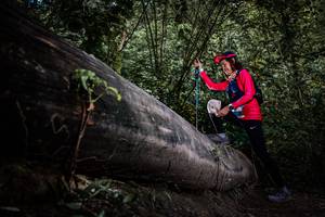 BIB: 
                            <button type="button" onclick="openModal(13522790)" class="btn btn-primary btn-sm float-right btn-popup" data-toggle="modal" data-target=".modal-high-quality">
                        <i class="fas fa-shopping-cart"></i> Add to Cart
                    </button>
                                            <button type="button" onclick="isThisMe(13522790, true)" class="btn btn-success btn-sm float-right btn-popup btn-isme hidden" data-toggle="tooltip" data-placement="bottom" title="นี่คือรูปของคุณใช่ไหม คลิกที่นี่เพื่อเอาเข้าอัลบั้ม">
                        <i class="fas fa-plus"></i> Add to album
                    </button>
                    <button type="button" onclick="isThisMe(13522790, false)" class="btn btn-warning btn-sm float-right btn-popup btn-isnotme hidden">
                        <i class="fas fa-ban"></i> Remove from album
                    </button>