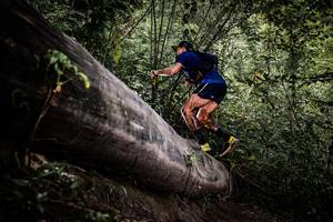 BIB: 
                            <button type="button" onclick="openModal(13523009)" class="btn btn-primary btn-sm float-right btn-popup" data-toggle="modal" data-target=".modal-high-quality">
                        <i class="fas fa-shopping-cart"></i> Add to Cart
                    </button>
                                            <button type="button" onclick="isThisMe(13523009, true)" class="btn btn-success btn-sm float-right btn-popup btn-isme hidden" data-toggle="tooltip" data-placement="bottom" title="นี่คือรูปของคุณใช่ไหม คลิกที่นี่เพื่อเอาเข้าอัลบั้ม">
                        <i class="fas fa-plus"></i> Add to album
                    </button>
                    <button type="button" onclick="isThisMe(13523009, false)" class="btn btn-warning btn-sm float-right btn-popup btn-isnotme hidden">
                        <i class="fas fa-ban"></i> Remove from album
                    </button>