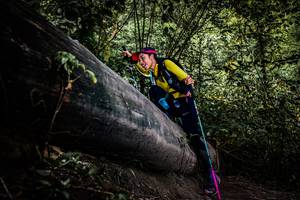 BIB: 
                            <button type="button" onclick="openModal(13523217)" class="btn btn-primary btn-sm float-right btn-popup" data-toggle="modal" data-target=".modal-high-quality">
                        <i class="fas fa-shopping-cart"></i> Add to Cart
                    </button>
                                            <button type="button" onclick="isThisMe(13523217, true)" class="btn btn-success btn-sm float-right btn-popup btn-isme hidden" data-toggle="tooltip" data-placement="bottom" title="นี่คือรูปของคุณใช่ไหม คลิกที่นี่เพื่อเอาเข้าอัลบั้ม">
                        <i class="fas fa-plus"></i> Add to album
                    </button>
                    <button type="button" onclick="isThisMe(13523217, false)" class="btn btn-warning btn-sm float-right btn-popup btn-isnotme hidden">
                        <i class="fas fa-ban"></i> Remove from album
                    </button>