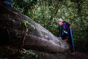 BIB: 
                            <button type="button" onclick="openModal(13520049)" class="btn btn-primary btn-sm float-right btn-popup" data-toggle="modal" data-target=".modal-high-quality">
                        <i class="fas fa-shopping-cart"></i> Add to Cart
                    </button>
                                            <button type="button" onclick="isThisMe(13520049, true)" class="btn btn-success btn-sm float-right btn-popup btn-isme hidden" data-toggle="tooltip" data-placement="bottom" title="นี่คือรูปของคุณใช่ไหม คลิกที่นี่เพื่อเอาเข้าอัลบั้ม">
                        <i class="fas fa-plus"></i> Add to album
                    </button>
                    <button type="button" onclick="isThisMe(13520049, false)" class="btn btn-warning btn-sm float-right btn-popup btn-isnotme hidden">
                        <i class="fas fa-ban"></i> Remove from album
                    </button>