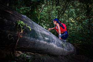 BIB: 
                            <button type="button" onclick="openModal(13519512)" class="btn btn-primary btn-sm float-right btn-popup" data-toggle="modal" data-target=".modal-high-quality">
                        <i class="fas fa-shopping-cart"></i> Add to Cart
                    </button>
                                            <button type="button" onclick="isThisMe(13519512, true)" class="btn btn-success btn-sm float-right btn-popup btn-isme hidden" data-toggle="tooltip" data-placement="bottom" title="นี่คือรูปของคุณใช่ไหม คลิกที่นี่เพื่อเอาเข้าอัลบั้ม">
                        <i class="fas fa-plus"></i> Add to album
                    </button>
                    <button type="button" onclick="isThisMe(13519512, false)" class="btn btn-warning btn-sm float-right btn-popup btn-isnotme hidden">
                        <i class="fas fa-ban"></i> Remove from album
                    </button>