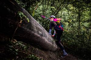 BIB: 
                            <button type="button" onclick="openModal(13523317)" class="btn btn-primary btn-sm float-right btn-popup" data-toggle="modal" data-target=".modal-high-quality">
                        <i class="fas fa-shopping-cart"></i> Add to Cart
                    </button>
                                            <button type="button" onclick="isThisMe(13523317, true)" class="btn btn-success btn-sm float-right btn-popup btn-isme hidden" data-toggle="tooltip" data-placement="bottom" title="นี่คือรูปของคุณใช่ไหม คลิกที่นี่เพื่อเอาเข้าอัลบั้ม">
                        <i class="fas fa-plus"></i> Add to album
                    </button>
                    <button type="button" onclick="isThisMe(13523317, false)" class="btn btn-warning btn-sm float-right btn-popup btn-isnotme hidden">
                        <i class="fas fa-ban"></i> Remove from album
                    </button>