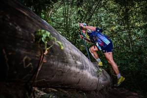 BIB: 
                            <button type="button" onclick="openModal(13519708)" class="btn btn-primary btn-sm float-right btn-popup" data-toggle="modal" data-target=".modal-high-quality">
                        <i class="fas fa-shopping-cart"></i> Add to Cart
                    </button>
                                            <button type="button" onclick="isThisMe(13519708, true)" class="btn btn-success btn-sm float-right btn-popup btn-isme hidden" data-toggle="tooltip" data-placement="bottom" title="นี่คือรูปของคุณใช่ไหม คลิกที่นี่เพื่อเอาเข้าอัลบั้ม">
                        <i class="fas fa-plus"></i> Add to album
                    </button>
                    <button type="button" onclick="isThisMe(13519708, false)" class="btn btn-warning btn-sm float-right btn-popup btn-isnotme hidden">
                        <i class="fas fa-ban"></i> Remove from album
                    </button>