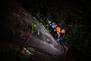 BIB: 
                            <button type="button" onclick="openModal(13518208)" class="btn btn-primary btn-sm float-right btn-popup" data-toggle="modal" data-target=".modal-high-quality">
                        <i class="fas fa-shopping-cart"></i> Add to Cart
                    </button>
                                            <button type="button" onclick="isThisMe(13518208, true)" class="btn btn-success btn-sm float-right btn-popup btn-isme hidden" data-toggle="tooltip" data-placement="bottom" title="นี่คือรูปของคุณใช่ไหม คลิกที่นี่เพื่อเอาเข้าอัลบั้ม">
                        <i class="fas fa-plus"></i> Add to album
                    </button>
                    <button type="button" onclick="isThisMe(13518208, false)" class="btn btn-warning btn-sm float-right btn-popup btn-isnotme hidden">
                        <i class="fas fa-ban"></i> Remove from album
                    </button>