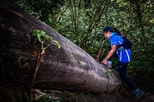 BIB: 
                            <button type="button" onclick="openModal(13519770)" class="btn btn-primary btn-sm float-right btn-popup" data-toggle="modal" data-target=".modal-high-quality">
                        <i class="fas fa-shopping-cart"></i> Add to Cart
                    </button>
                                            <button type="button" onclick="isThisMe(13519770, true)" class="btn btn-success btn-sm float-right btn-popup btn-isme hidden" data-toggle="tooltip" data-placement="bottom" title="นี่คือรูปของคุณใช่ไหม คลิกที่นี่เพื่อเอาเข้าอัลบั้ม">
                        <i class="fas fa-plus"></i> Add to album
                    </button>
                    <button type="button" onclick="isThisMe(13519770, false)" class="btn btn-warning btn-sm float-right btn-popup btn-isnotme hidden">
                        <i class="fas fa-ban"></i> Remove from album
                    </button>