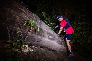 BIB: 
                            <button type="button" onclick="openModal(13517671)" class="btn btn-primary btn-sm float-right btn-popup" data-toggle="modal" data-target=".modal-high-quality">
                        <i class="fas fa-shopping-cart"></i> Add to Cart
                    </button>
                                            <button type="button" onclick="isThisMe(13517671, true)" class="btn btn-success btn-sm float-right btn-popup btn-isme hidden" data-toggle="tooltip" data-placement="bottom" title="นี่คือรูปของคุณใช่ไหม คลิกที่นี่เพื่อเอาเข้าอัลบั้ม">
                        <i class="fas fa-plus"></i> Add to album
                    </button>
                    <button type="button" onclick="isThisMe(13517671, false)" class="btn btn-warning btn-sm float-right btn-popup btn-isnotme hidden">
                        <i class="fas fa-ban"></i> Remove from album
                    </button>