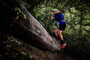 BIB: 
                            <button type="button" onclick="openModal(13525242)" class="btn btn-primary btn-sm float-right btn-popup" data-toggle="modal" data-target=".modal-high-quality">
                        <i class="fas fa-shopping-cart"></i> Add to Cart
                    </button>
                                            <button type="button" onclick="isThisMe(13525242, true)" class="btn btn-success btn-sm float-right btn-popup btn-isme hidden" data-toggle="tooltip" data-placement="bottom" title="นี่คือรูปของคุณใช่ไหม คลิกที่นี่เพื่อเอาเข้าอัลบั้ม">
                        <i class="fas fa-plus"></i> Add to album
                    </button>
                    <button type="button" onclick="isThisMe(13525242, false)" class="btn btn-warning btn-sm float-right btn-popup btn-isnotme hidden">
                        <i class="fas fa-ban"></i> Remove from album
                    </button>