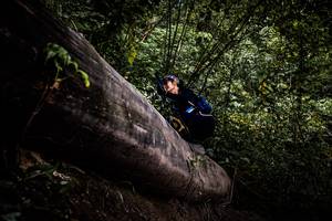 BIB: 
                            <button type="button" onclick="openModal(13525479)" class="btn btn-primary btn-sm float-right btn-popup" data-toggle="modal" data-target=".modal-high-quality">
                        <i class="fas fa-shopping-cart"></i> Add to Cart
                    </button>
                                            <button type="button" onclick="isThisMe(13525479, true)" class="btn btn-success btn-sm float-right btn-popup btn-isme hidden" data-toggle="tooltip" data-placement="bottom" title="นี่คือรูปของคุณใช่ไหม คลิกที่นี่เพื่อเอาเข้าอัลบั้ม">
                        <i class="fas fa-plus"></i> Add to album
                    </button>
                    <button type="button" onclick="isThisMe(13525479, false)" class="btn btn-warning btn-sm float-right btn-popup btn-isnotme hidden">
                        <i class="fas fa-ban"></i> Remove from album
                    </button>