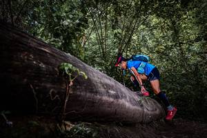 BIB: 
                            <button type="button" onclick="openModal(13522693)" class="btn btn-primary btn-sm float-right btn-popup" data-toggle="modal" data-target=".modal-high-quality">
                        <i class="fas fa-shopping-cart"></i> Add to Cart
                    </button>
                                            <button type="button" onclick="isThisMe(13522693, true)" class="btn btn-success btn-sm float-right btn-popup btn-isme hidden" data-toggle="tooltip" data-placement="bottom" title="นี่คือรูปของคุณใช่ไหม คลิกที่นี่เพื่อเอาเข้าอัลบั้ม">
                        <i class="fas fa-plus"></i> Add to album
                    </button>
                    <button type="button" onclick="isThisMe(13522693, false)" class="btn btn-warning btn-sm float-right btn-popup btn-isnotme hidden">
                        <i class="fas fa-ban"></i> Remove from album
                    </button>