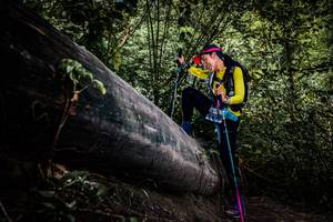 BIB: 
                            <button type="button" onclick="openModal(13523214)" class="btn btn-primary btn-sm float-right btn-popup" data-toggle="modal" data-target=".modal-high-quality">
                        <i class="fas fa-shopping-cart"></i> Add to Cart
                    </button>
                                            <button type="button" onclick="isThisMe(13523214, true)" class="btn btn-success btn-sm float-right btn-popup btn-isme hidden" data-toggle="tooltip" data-placement="bottom" title="นี่คือรูปของคุณใช่ไหม คลิกที่นี่เพื่อเอาเข้าอัลบั้ม">
                        <i class="fas fa-plus"></i> Add to album
                    </button>
                    <button type="button" onclick="isThisMe(13523214, false)" class="btn btn-warning btn-sm float-right btn-popup btn-isnotme hidden">
                        <i class="fas fa-ban"></i> Remove from album
                    </button>