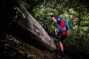 BIB: 
                            <button type="button" onclick="openModal(13525305)" class="btn btn-primary btn-sm float-right btn-popup" data-toggle="modal" data-target=".modal-high-quality">
                        <i class="fas fa-shopping-cart"></i> Add to Cart
                    </button>
                                            <button type="button" onclick="isThisMe(13525305, true)" class="btn btn-success btn-sm float-right btn-popup btn-isme hidden" data-toggle="tooltip" data-placement="bottom" title="นี่คือรูปของคุณใช่ไหม คลิกที่นี่เพื่อเอาเข้าอัลบั้ม">
                        <i class="fas fa-plus"></i> Add to album
                    </button>
                    <button type="button" onclick="isThisMe(13525305, false)" class="btn btn-warning btn-sm float-right btn-popup btn-isnotme hidden">
                        <i class="fas fa-ban"></i> Remove from album
                    </button>