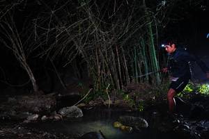 BIB: 
                            <button type="button" onclick="openModal(13660337)" class="btn btn-primary btn-sm float-right btn-popup" data-toggle="modal" data-target=".modal-high-quality">
                        <i class="fas fa-shopping-cart"></i> Add to Cart
                    </button>
                                            <button type="button" onclick="isThisMe(13660337, true)" class="btn btn-success btn-sm float-right btn-popup btn-isme hidden" data-toggle="tooltip" data-placement="bottom" title="นี่คือรูปของคุณใช่ไหม คลิกที่นี่เพื่อเอาเข้าอัลบั้ม">
                        <i class="fas fa-plus"></i> Add to album
                    </button>
                    <button type="button" onclick="isThisMe(13660337, false)" class="btn btn-warning btn-sm float-right btn-popup btn-isnotme hidden">
                        <i class="fas fa-ban"></i> Remove from album
                    </button>