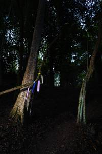 BIB: 
                            <button type="button" onclick="openModal(13661644)" class="btn btn-primary btn-sm float-right btn-popup" data-toggle="modal" data-target=".modal-high-quality">
                        <i class="fas fa-shopping-cart"></i> Add to Cart
                    </button>
                                            <button type="button" onclick="isThisMe(13661644, true)" class="btn btn-success btn-sm float-right btn-popup btn-isme hidden" data-toggle="tooltip" data-placement="bottom" title="นี่คือรูปของคุณใช่ไหม คลิกที่นี่เพื่อเอาเข้าอัลบั้ม">
                        <i class="fas fa-plus"></i> Add to album
                    </button>
                    <button type="button" onclick="isThisMe(13661644, false)" class="btn btn-warning btn-sm float-right btn-popup btn-isnotme hidden">
                        <i class="fas fa-ban"></i> Remove from album
                    </button>