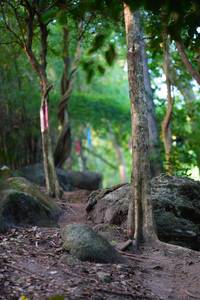 BIB: 
                            <button type="button" onclick="openModal(13655229)" class="btn btn-primary btn-sm float-right btn-popup" data-toggle="modal" data-target=".modal-high-quality">
                        <i class="fas fa-shopping-cart"></i> Add to Cart
                    </button>
                                            <button type="button" onclick="isThisMe(13655229, true)" class="btn btn-success btn-sm float-right btn-popup btn-isme hidden" data-toggle="tooltip" data-placement="bottom" title="นี่คือรูปของคุณใช่ไหม คลิกที่นี่เพื่อเอาเข้าอัลบั้ม">
                        <i class="fas fa-plus"></i> Add to album
                    </button>
                    <button type="button" onclick="isThisMe(13655229, false)" class="btn btn-warning btn-sm float-right btn-popup btn-isnotme hidden">
                        <i class="fas fa-ban"></i> Remove from album
                    </button>