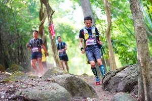 BIB: 
                            <button type="button" onclick="openModal(13656175)" class="btn btn-primary btn-sm float-right btn-popup" data-toggle="modal" data-target=".modal-high-quality">
                        <i class="fas fa-shopping-cart"></i> Add to Cart
                    </button>
                                            <button type="button" onclick="isThisMe(13656175, true)" class="btn btn-success btn-sm float-right btn-popup btn-isme hidden" data-toggle="tooltip" data-placement="bottom" title="นี่คือรูปของคุณใช่ไหม คลิกที่นี่เพื่อเอาเข้าอัลบั้ม">
                        <i class="fas fa-plus"></i> Add to album
                    </button>
                    <button type="button" onclick="isThisMe(13656175, false)" class="btn btn-warning btn-sm float-right btn-popup btn-isnotme hidden">
                        <i class="fas fa-ban"></i> Remove from album
                    </button>