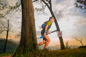 BIB: 
                            <button type="button" onclick="openModal(13654799)" class="btn btn-primary btn-sm float-right btn-popup" data-toggle="modal" data-target=".modal-high-quality">
                        <i class="fas fa-shopping-cart"></i> Add to Cart
                    </button>
                                            <button type="button" onclick="isThisMe(13654799, true)" class="btn btn-success btn-sm float-right btn-popup btn-isme hidden" data-toggle="tooltip" data-placement="bottom" title="นี่คือรูปของคุณใช่ไหม คลิกที่นี่เพื่อเอาเข้าอัลบั้ม">
                        <i class="fas fa-plus"></i> Add to album
                    </button>
                    <button type="button" onclick="isThisMe(13654799, false)" class="btn btn-warning btn-sm float-right btn-popup btn-isnotme hidden">
                        <i class="fas fa-ban"></i> Remove from album
                    </button>