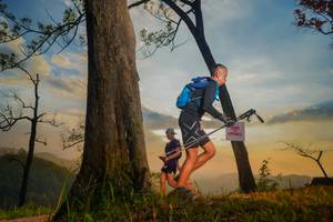 BIB: 
                            <button type="button" onclick="openModal(13655436)" class="btn btn-primary btn-sm float-right btn-popup" data-toggle="modal" data-target=".modal-high-quality">
                        <i class="fas fa-shopping-cart"></i> Add to Cart
                    </button>
                                            <button type="button" onclick="isThisMe(13655436, true)" class="btn btn-success btn-sm float-right btn-popup btn-isme hidden" data-toggle="tooltip" data-placement="bottom" title="นี่คือรูปของคุณใช่ไหม คลิกที่นี่เพื่อเอาเข้าอัลบั้ม">
                        <i class="fas fa-plus"></i> Add to album
                    </button>
                    <button type="button" onclick="isThisMe(13655436, false)" class="btn btn-warning btn-sm float-right btn-popup btn-isnotme hidden">
                        <i class="fas fa-ban"></i> Remove from album
                    </button>