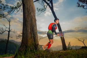 BIB: 
                            <button type="button" onclick="openModal(13655363)" class="btn btn-primary btn-sm float-right btn-popup" data-toggle="modal" data-target=".modal-high-quality">
                        <i class="fas fa-shopping-cart"></i> Add to Cart
                    </button>
                                            <button type="button" onclick="isThisMe(13655363, true)" class="btn btn-success btn-sm float-right btn-popup btn-isme hidden" data-toggle="tooltip" data-placement="bottom" title="นี่คือรูปของคุณใช่ไหม คลิกที่นี่เพื่อเอาเข้าอัลบั้ม">
                        <i class="fas fa-plus"></i> Add to album
                    </button>
                    <button type="button" onclick="isThisMe(13655363, false)" class="btn btn-warning btn-sm float-right btn-popup btn-isnotme hidden">
                        <i class="fas fa-ban"></i> Remove from album
                    </button>