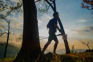 BIB: 
                            <button type="button" onclick="openModal(13655076)" class="btn btn-primary btn-sm float-right btn-popup" data-toggle="modal" data-target=".modal-high-quality">
                        <i class="fas fa-shopping-cart"></i> Add to Cart
                    </button>
                                            <button type="button" onclick="isThisMe(13655076, true)" class="btn btn-success btn-sm float-right btn-popup btn-isme hidden" data-toggle="tooltip" data-placement="bottom" title="นี่คือรูปของคุณใช่ไหม คลิกที่นี่เพื่อเอาเข้าอัลบั้ม">
                        <i class="fas fa-plus"></i> Add to album
                    </button>
                    <button type="button" onclick="isThisMe(13655076, false)" class="btn btn-warning btn-sm float-right btn-popup btn-isnotme hidden">
                        <i class="fas fa-ban"></i> Remove from album
                    </button>