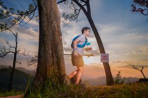 BIB: 
                            <button type="button" onclick="openModal(13655581)" class="btn btn-primary btn-sm float-right btn-popup" data-toggle="modal" data-target=".modal-high-quality">
                        <i class="fas fa-shopping-cart"></i> Add to Cart
                    </button>
                                            <button type="button" onclick="isThisMe(13655581, true)" class="btn btn-success btn-sm float-right btn-popup btn-isme hidden" data-toggle="tooltip" data-placement="bottom" title="นี่คือรูปของคุณใช่ไหม คลิกที่นี่เพื่อเอาเข้าอัลบั้ม">
                        <i class="fas fa-plus"></i> Add to album
                    </button>
                    <button type="button" onclick="isThisMe(13655581, false)" class="btn btn-warning btn-sm float-right btn-popup btn-isnotme hidden">
                        <i class="fas fa-ban"></i> Remove from album
                    </button>