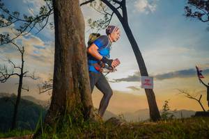 BIB: 
                            <button type="button" onclick="openModal(13655394)" class="btn btn-primary btn-sm float-right btn-popup" data-toggle="modal" data-target=".modal-high-quality">
                        <i class="fas fa-shopping-cart"></i> Add to Cart
                    </button>
                                            <button type="button" onclick="isThisMe(13655394, true)" class="btn btn-success btn-sm float-right btn-popup btn-isme hidden" data-toggle="tooltip" data-placement="bottom" title="นี่คือรูปของคุณใช่ไหม คลิกที่นี่เพื่อเอาเข้าอัลบั้ม">
                        <i class="fas fa-plus"></i> Add to album
                    </button>
                    <button type="button" onclick="isThisMe(13655394, false)" class="btn btn-warning btn-sm float-right btn-popup btn-isnotme hidden">
                        <i class="fas fa-ban"></i> Remove from album
                    </button>