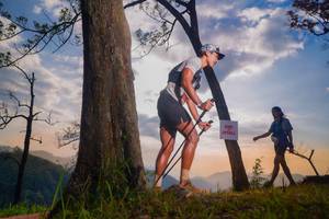 BIB: 
                            <button type="button" onclick="openModal(13654863)" class="btn btn-primary btn-sm float-right btn-popup" data-toggle="modal" data-target=".modal-high-quality">
                        <i class="fas fa-shopping-cart"></i> Add to Cart
                    </button>
                                            <button type="button" onclick="isThisMe(13654863, true)" class="btn btn-success btn-sm float-right btn-popup btn-isme hidden" data-toggle="tooltip" data-placement="bottom" title="นี่คือรูปของคุณใช่ไหม คลิกที่นี่เพื่อเอาเข้าอัลบั้ม">
                        <i class="fas fa-plus"></i> Add to album
                    </button>
                    <button type="button" onclick="isThisMe(13654863, false)" class="btn btn-warning btn-sm float-right btn-popup btn-isnotme hidden">
                        <i class="fas fa-ban"></i> Remove from album
                    </button>