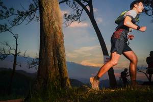 BIB: 
                            <button type="button" onclick="openModal(13656350)" class="btn btn-primary btn-sm float-right btn-popup" data-toggle="modal" data-target=".modal-high-quality">
                        <i class="fas fa-shopping-cart"></i> Add to Cart
                    </button>
                                            <button type="button" onclick="isThisMe(13656350, true)" class="btn btn-success btn-sm float-right btn-popup btn-isme hidden" data-toggle="tooltip" data-placement="bottom" title="นี่คือรูปของคุณใช่ไหม คลิกที่นี่เพื่อเอาเข้าอัลบั้ม">
                        <i class="fas fa-plus"></i> Add to album
                    </button>
                    <button type="button" onclick="isThisMe(13656350, false)" class="btn btn-warning btn-sm float-right btn-popup btn-isnotme hidden">
                        <i class="fas fa-ban"></i> Remove from album
                    </button>